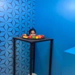 Visvesvaraya Museum 6