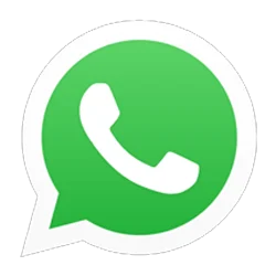 Whatsapp icon