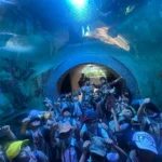 Underwater World Of Wonder Namma Bengaluru Aquarium 2026 Pic 17