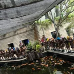 Underwater World Of Wonder Namma Bengaluru Aquarium 2026 Pic 18
