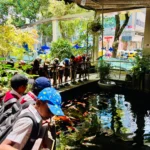 Underwater World Of Wonder Namma Bengaluru Aquarium 2026 Pic 7 Scaled